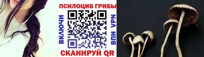 Галлюциногенные грибы Psilocybe  Бокситогорск 